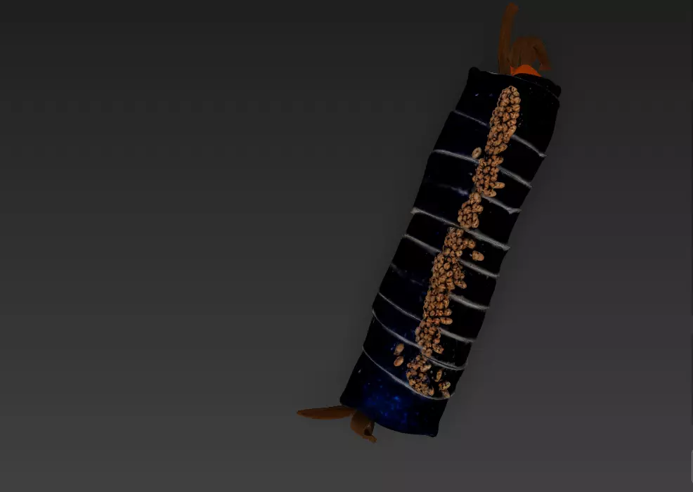 Korean Gimbap 3D Model   Traditional Seaweed Rice Roll 3D model_37