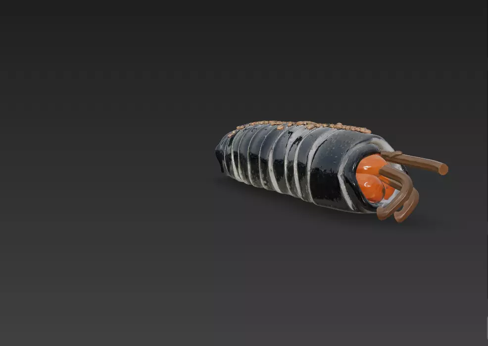 Korean Gimbap 3D Model   Traditional Seaweed Rice Roll 3D model_49