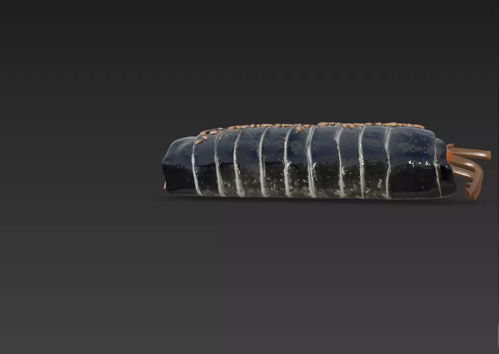 Korean Gimbap 3D Model   Traditional Seaweed Rice Roll 3D model_11