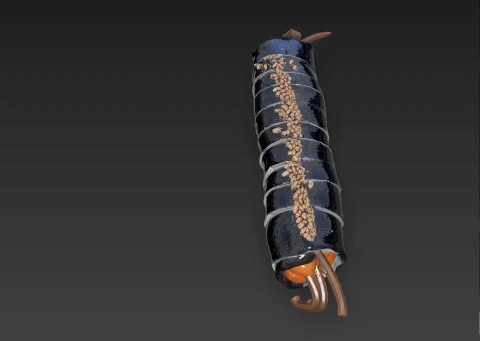 Korean Gimbap 3D Model   Traditional Seaweed Rice Roll 3D model_13