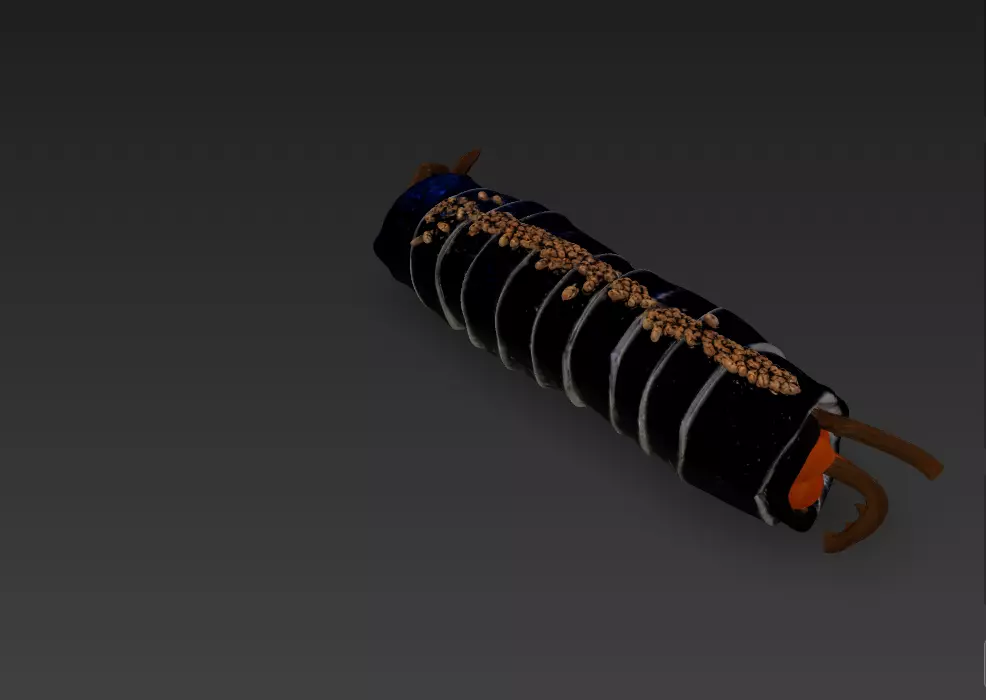 Korean Gimbap 3D Model   Traditional Seaweed Rice Roll 3D model_23