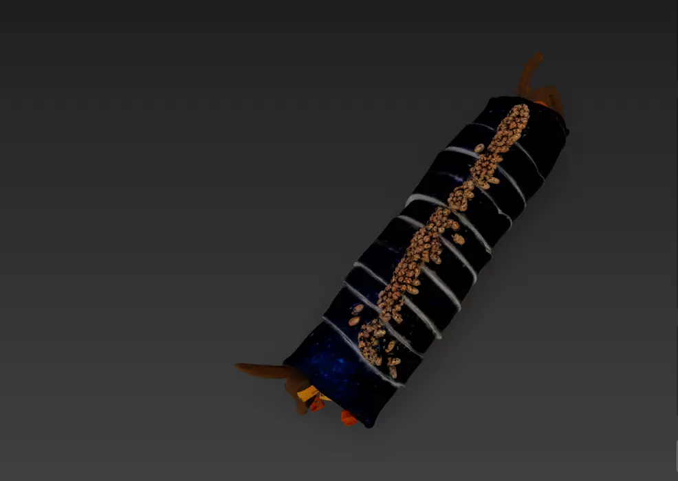 Korean Gimbap 3D Model   Traditional Seaweed Rice Roll 3D model_39