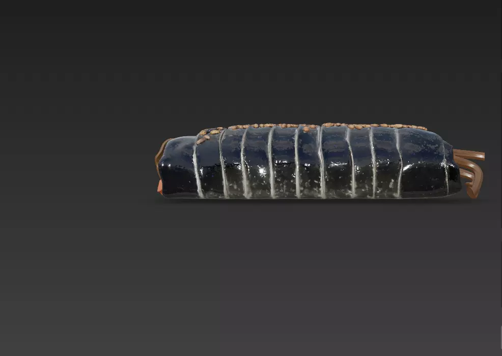 Korean Gimbap 3D Model   Traditional Seaweed Rice Roll 3D model_0