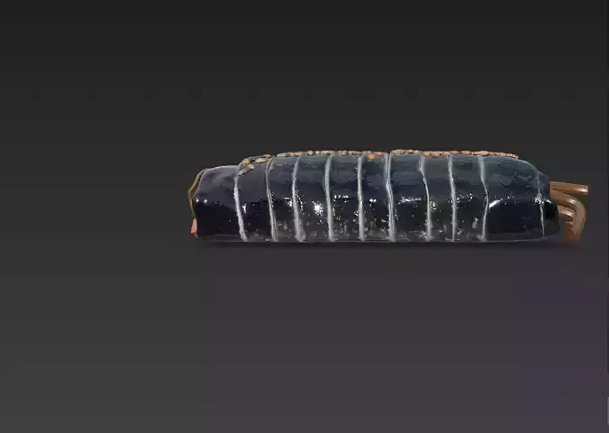 Korean Gimbap 3D Model   Traditional Seaweed Rice Roll 3D model