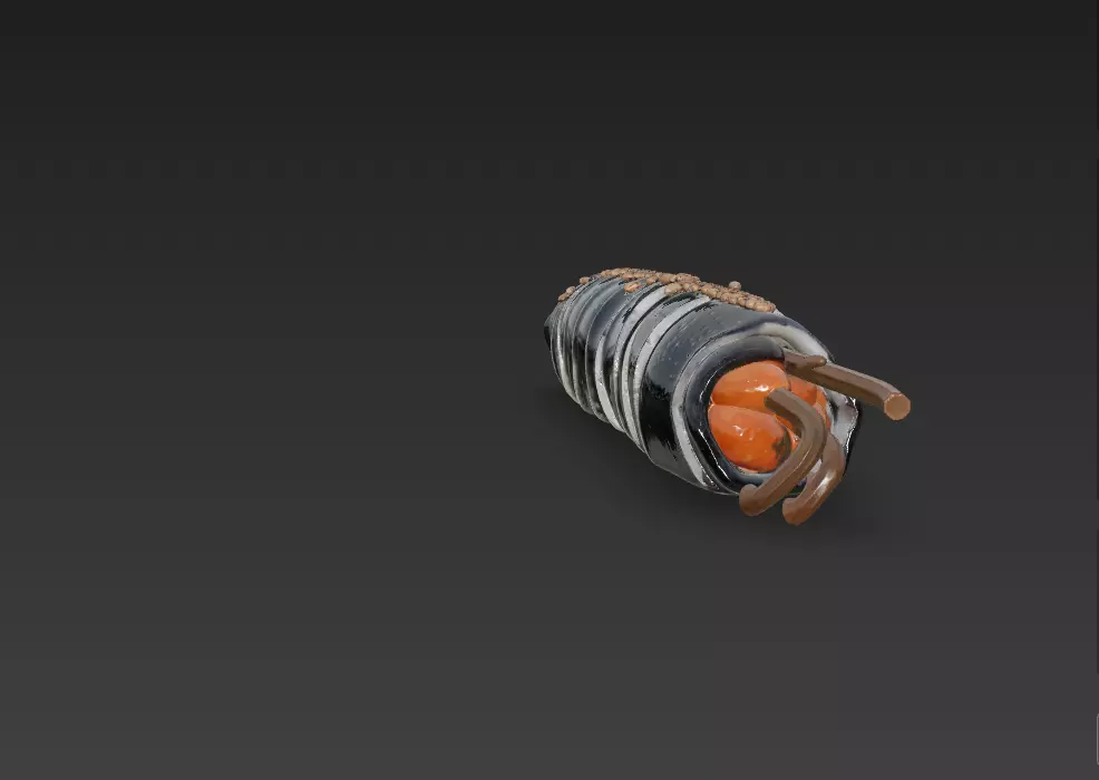 Korean Gimbap 3D Model   Traditional Seaweed Rice Roll 3D model_50