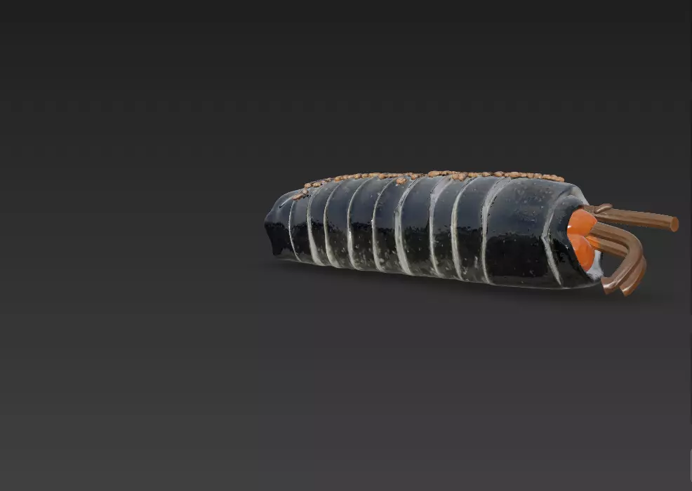 Korean Gimbap 3D Model   Traditional Seaweed Rice Roll 3D model_44