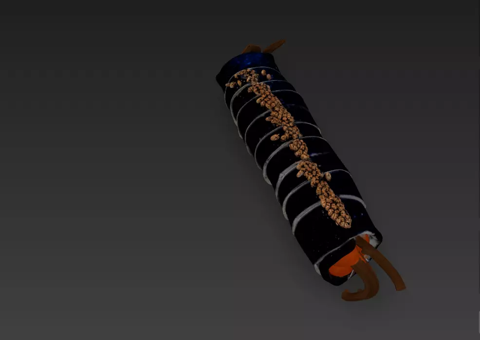Korean Gimbap 3D Model   Traditional Seaweed Rice Roll 3D model_24