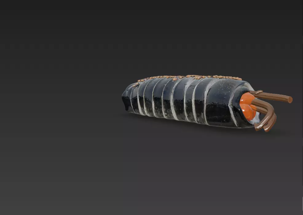 Korean Gimbap 3D Model   Traditional Seaweed Rice Roll 3D model_48