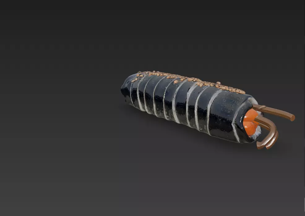 Korean Gimbap 3D Model   Traditional Seaweed Rice Roll 3D model_15