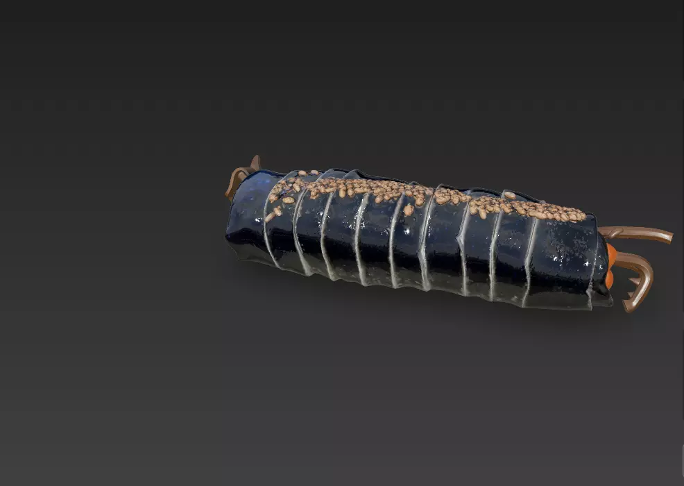 Korean Gimbap 3D Model   Traditional Seaweed Rice Roll 3D model_18