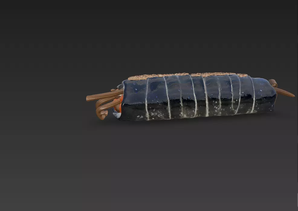 Korean Gimbap 3D Model   Traditional Seaweed Rice Roll 3D model_4