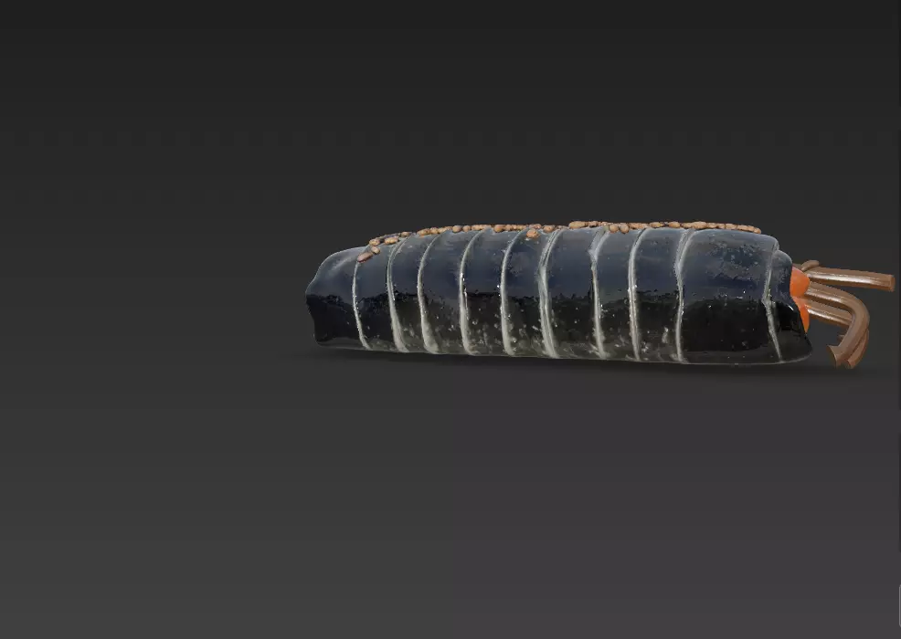 Korean Gimbap 3D Model   Traditional Seaweed Rice Roll 3D model_33