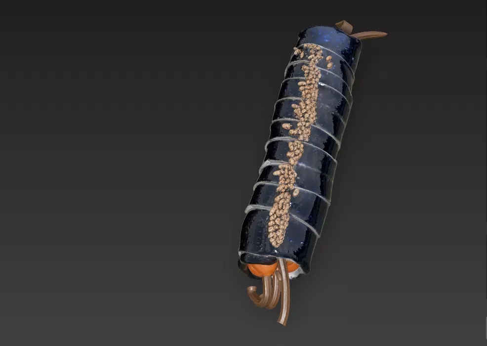 Korean Gimbap 3D Model   Traditional Seaweed Rice Roll 3D model_12