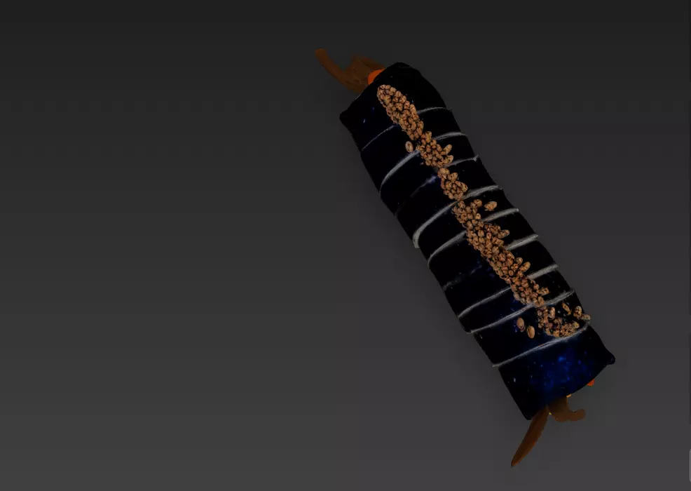 Korean Gimbap 3D Model   Traditional Seaweed Rice Roll 3D model_35