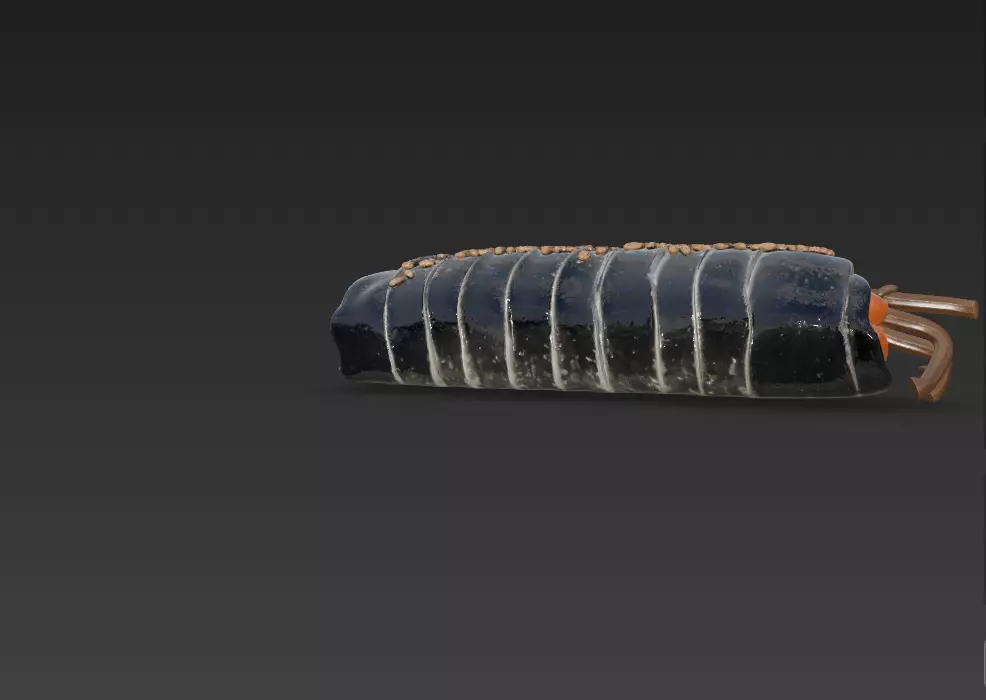 Korean Gimbap 3D Model   Traditional Seaweed Rice Roll 3D model_22