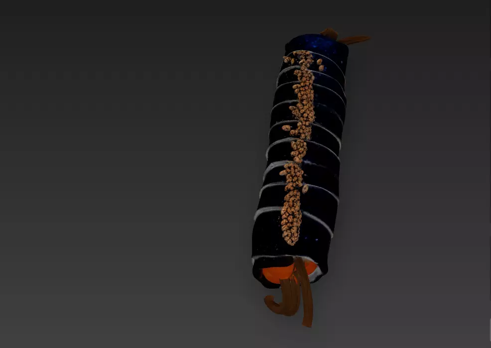Korean Gimbap 3D Model   Traditional Seaweed Rice Roll 3D model_26