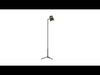 Pacific Coast Lighting Lamp Collection _1