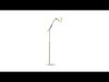 Pacific Coast Lighting Lamp Collection _2