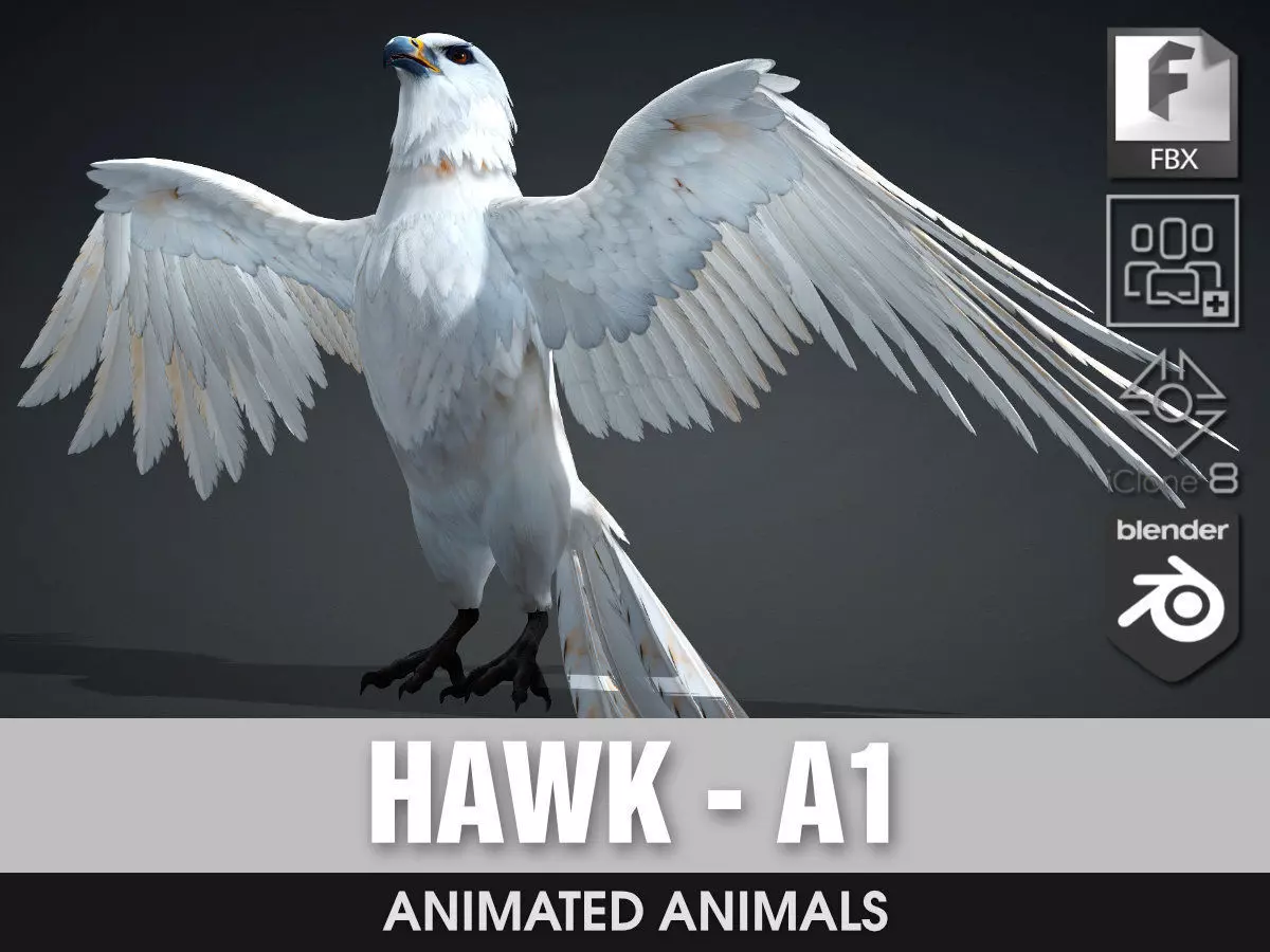 Hawk-A1 3D model_0