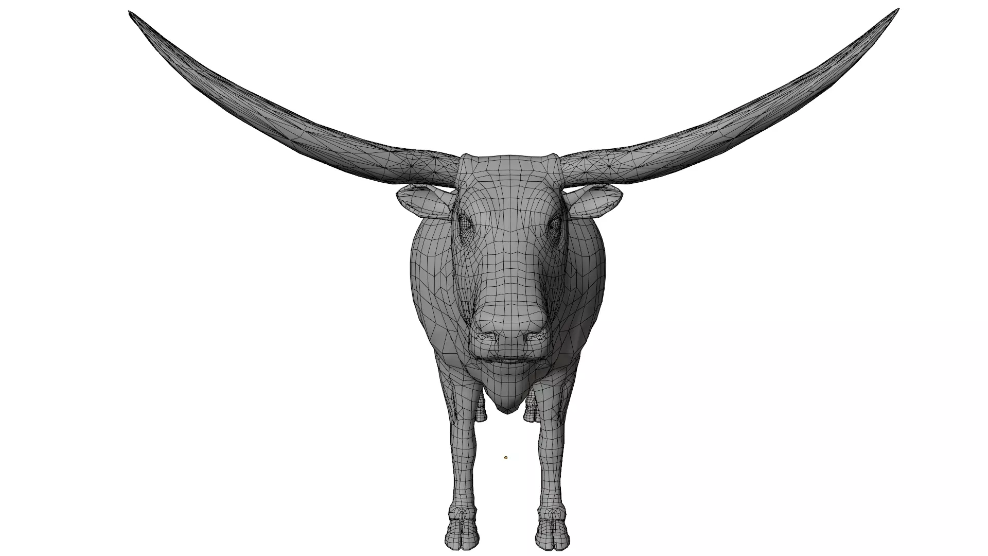 Texas Longhorn 3D model_16