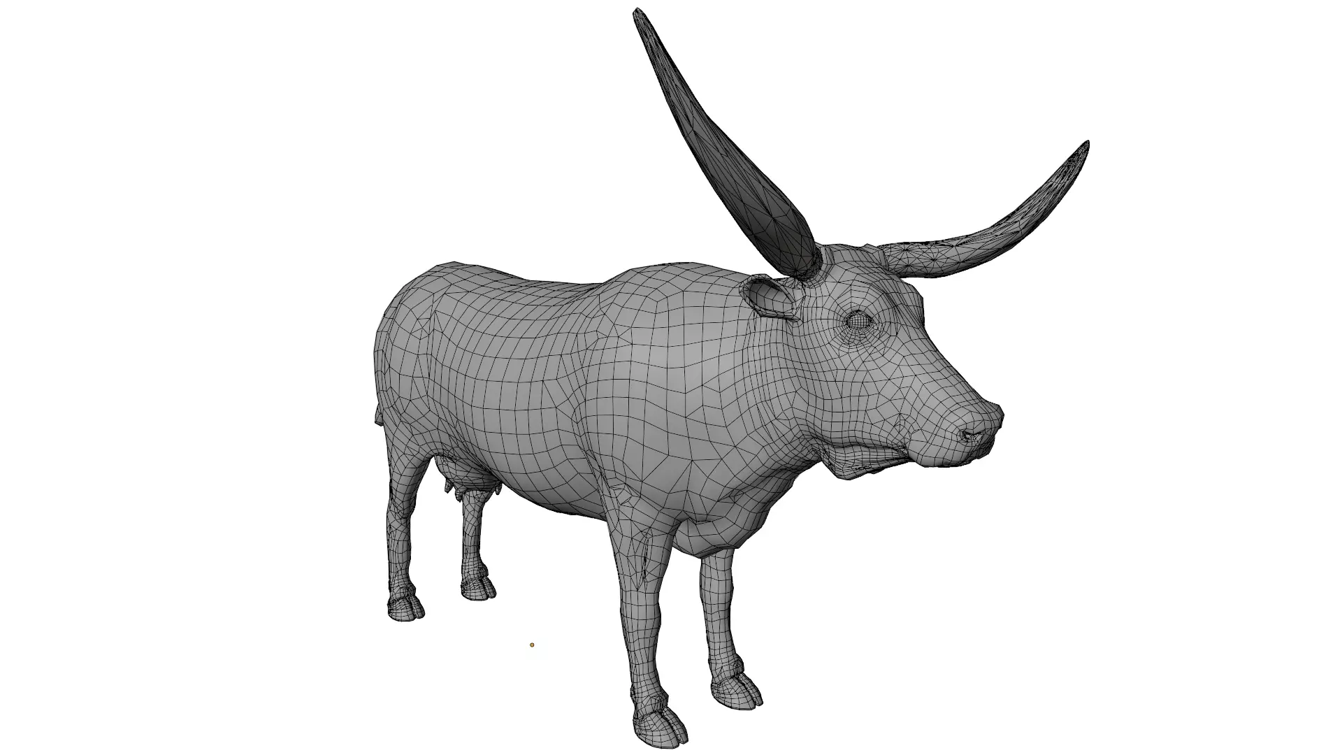 Texas Longhorn 3D model_15