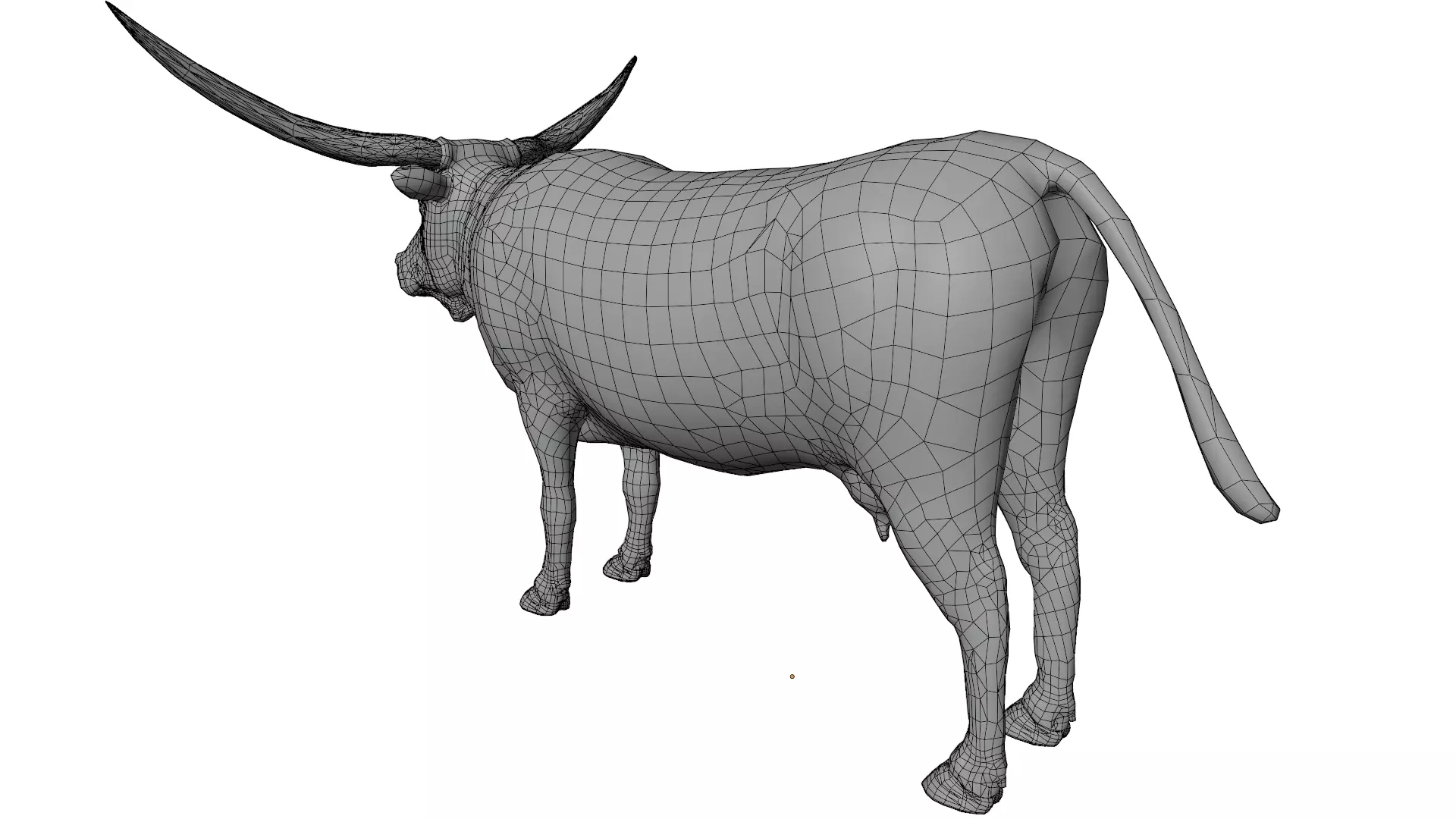 Texas Longhorn 3D model_11