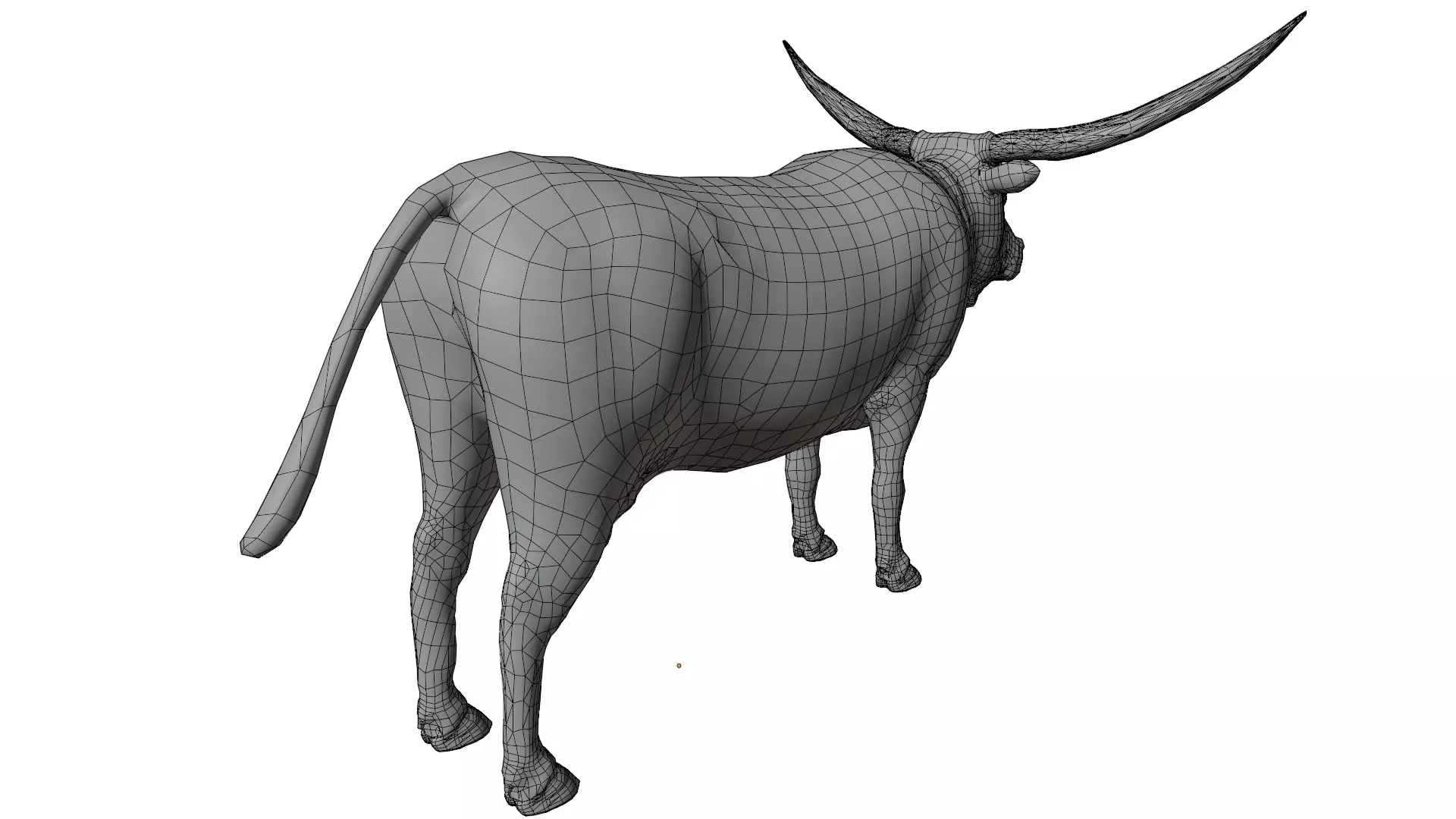 Texas Longhorn 3D model_13