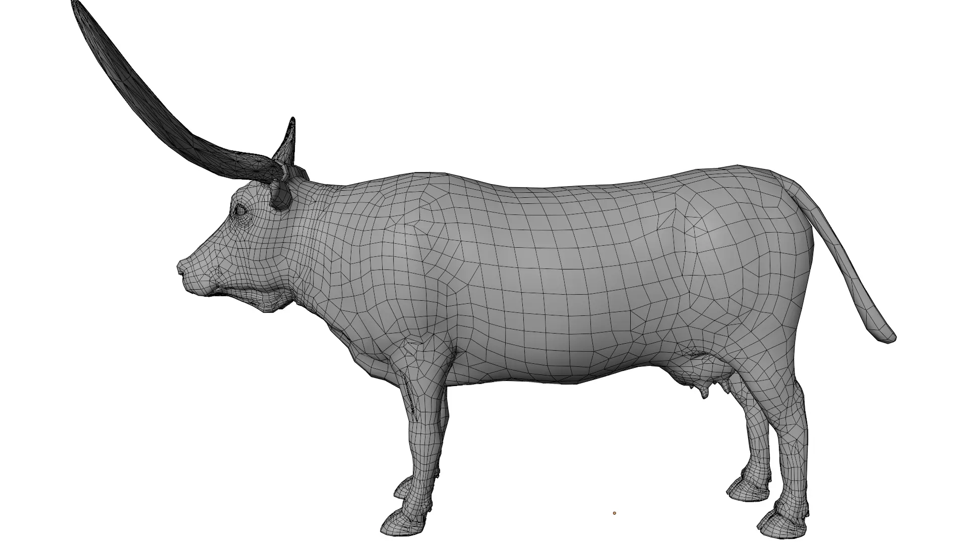 Texas Longhorn 3D model_10
