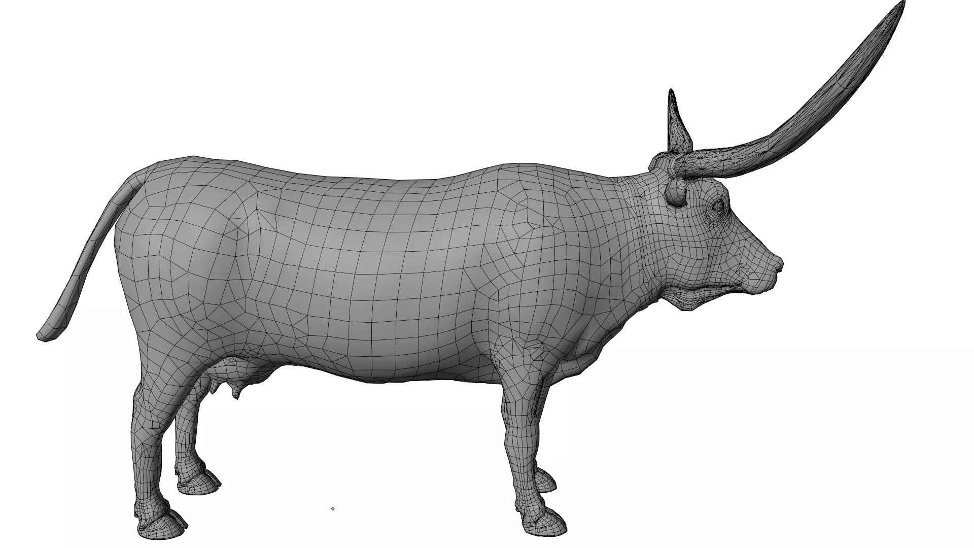 Texas Longhorn 3D model_14