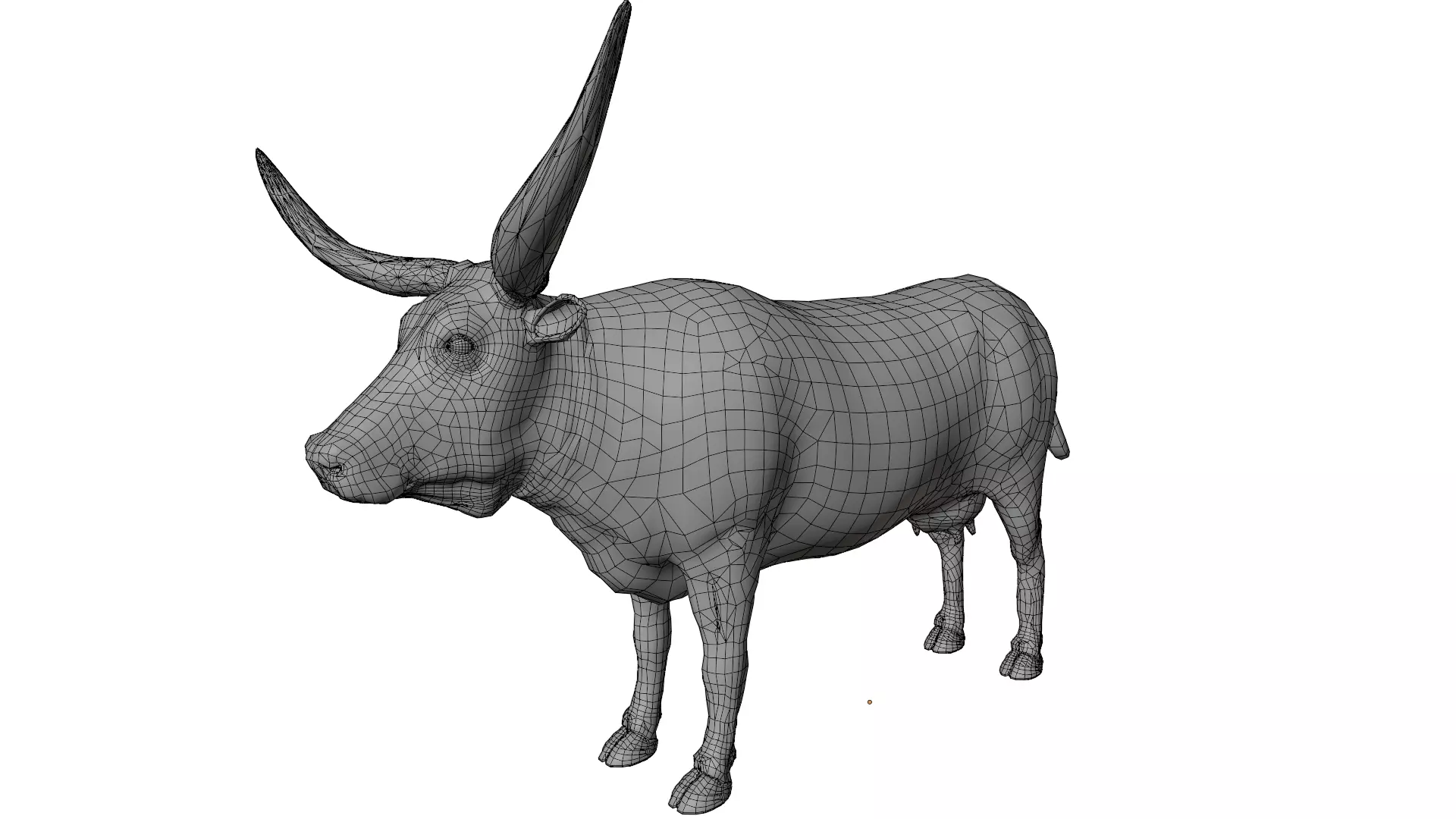 Texas Longhorn 3D model_9