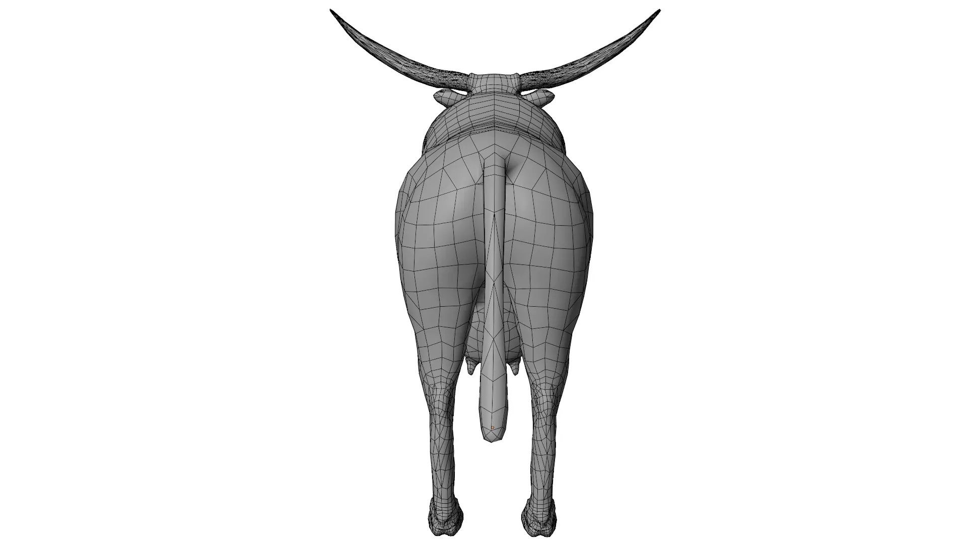Texas Longhorn 3D model_12