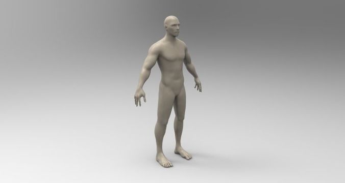 3d model male mannequin Low-poly 3D model