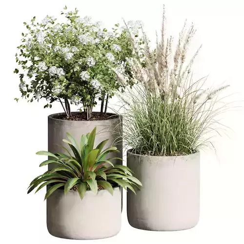 Outdoor Plant 28 3D model