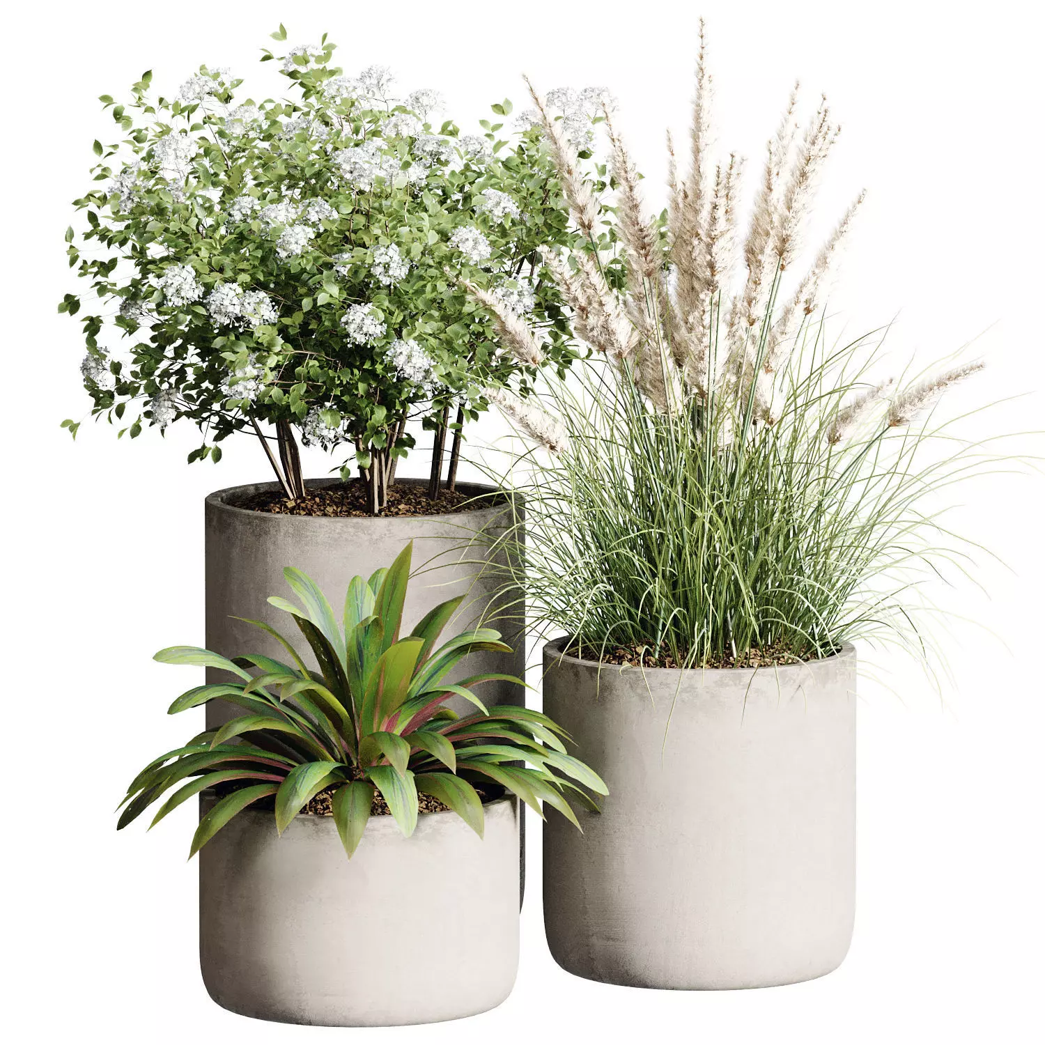 Outdoor Plant 28 3D model