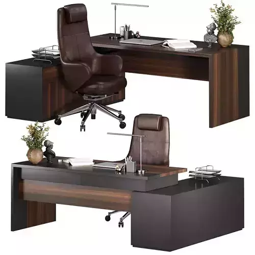 Office Furniture Manager set 22