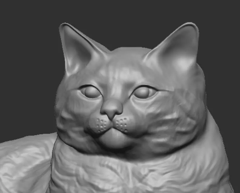 Cat for 3d Printing 3D print model_8