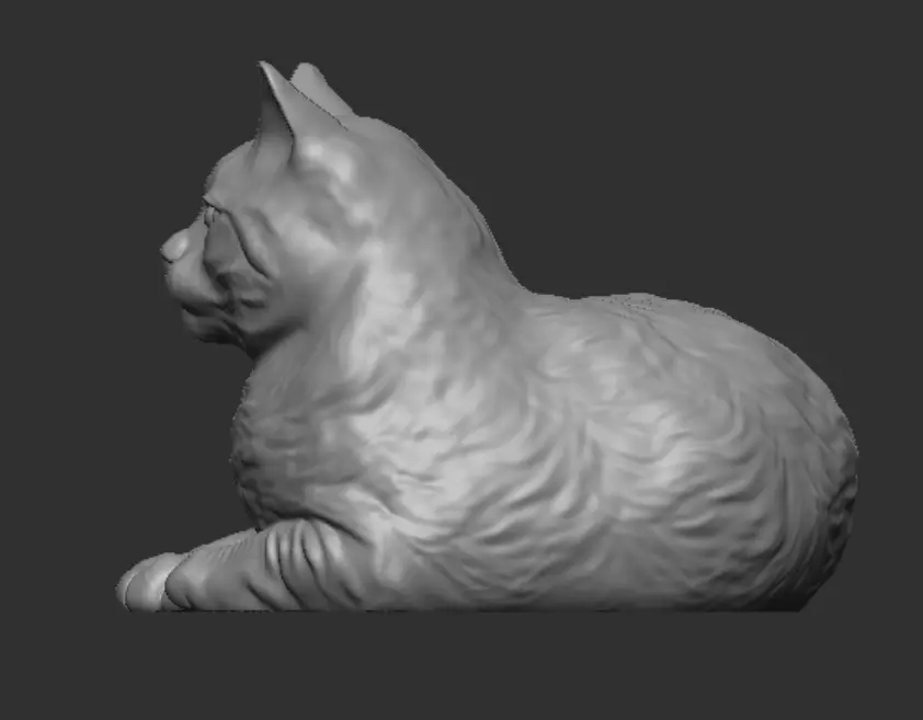 Cat for 3d Printing 3D print model_2