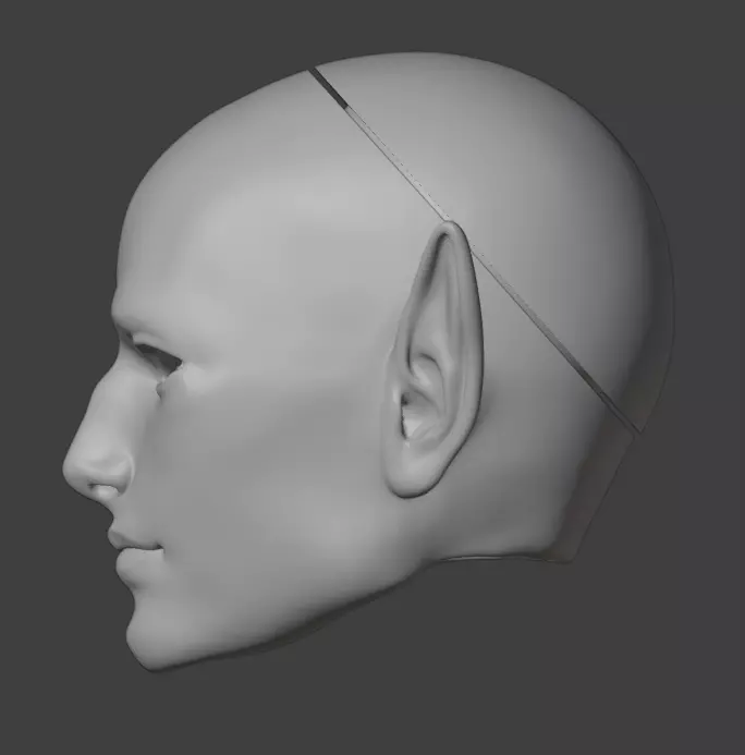 3d model elf Man head with vertical ears bjd printing STL OBJ 3D print model_2