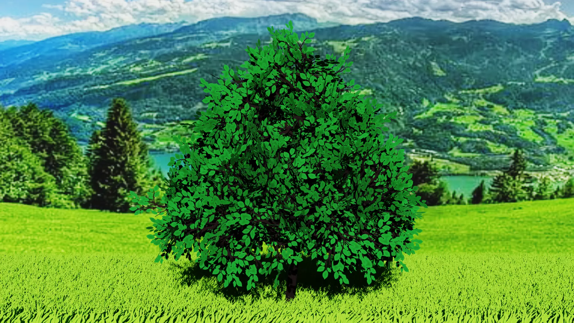 Stylized Tree 3 Free low-poly 3D model