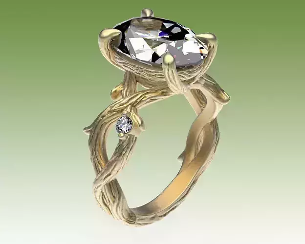 Ring Engagment Wooden Style