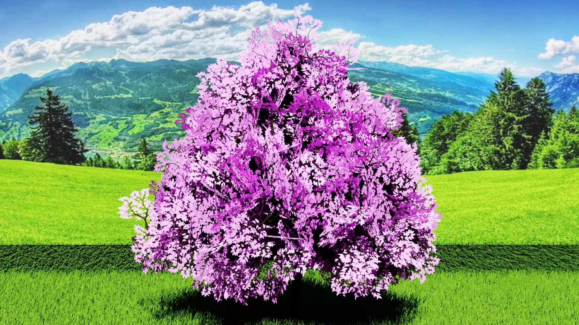 Stylized Tree 4 Free low-poly 3D model_8