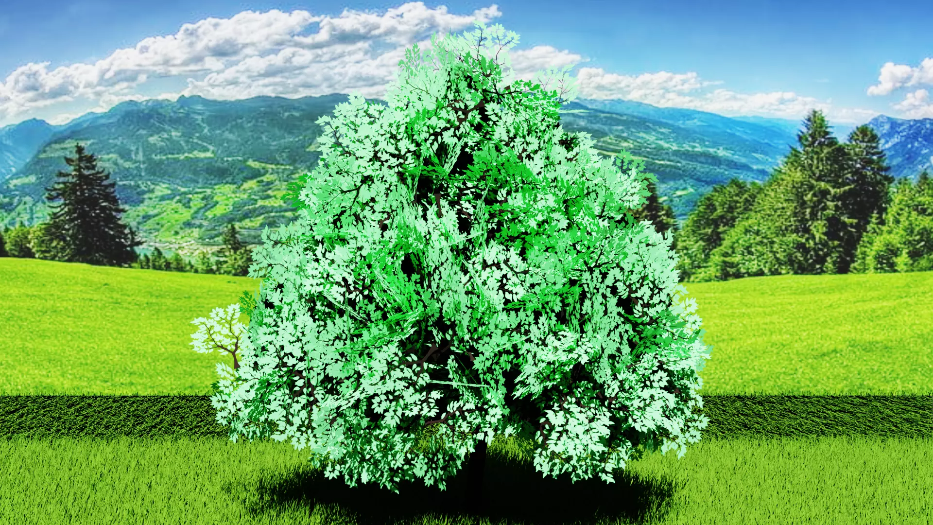 Stylized Tree 4 Free low-poly 3D model_6