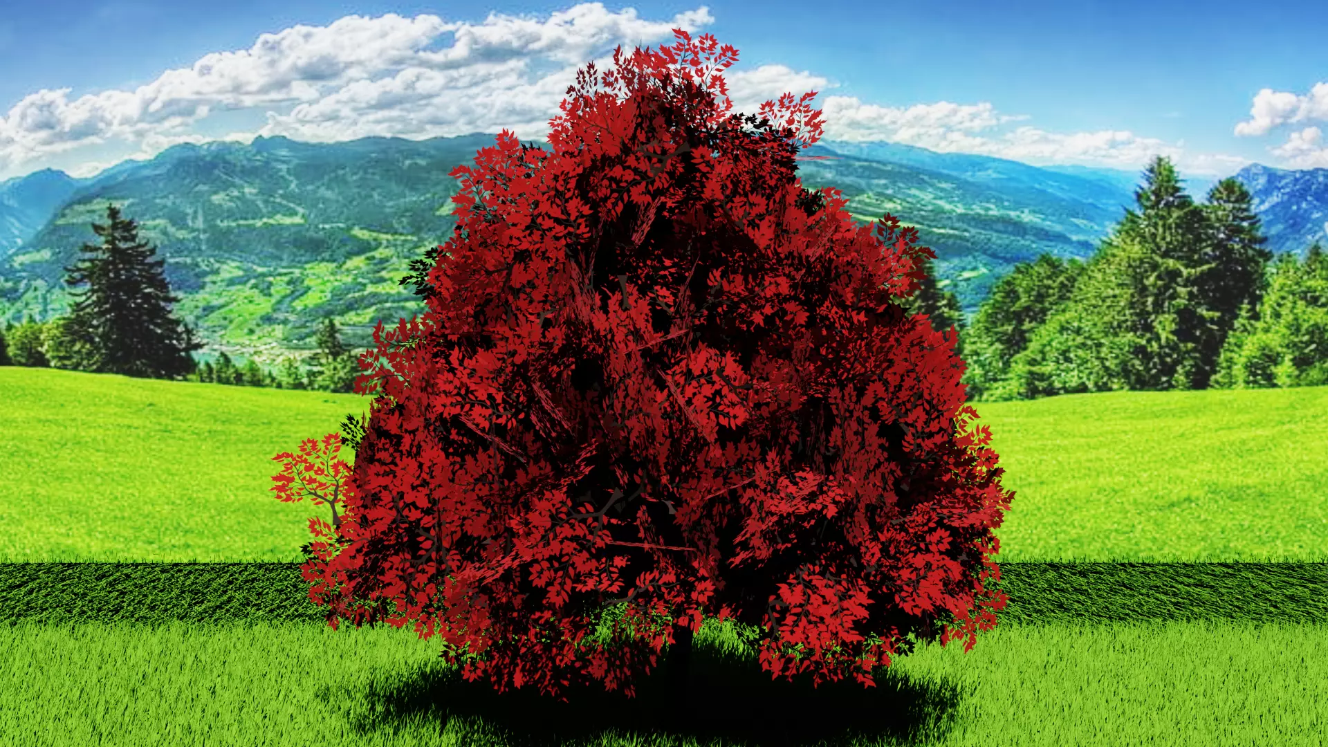Stylized Tree 4 Free low-poly 3D model_9