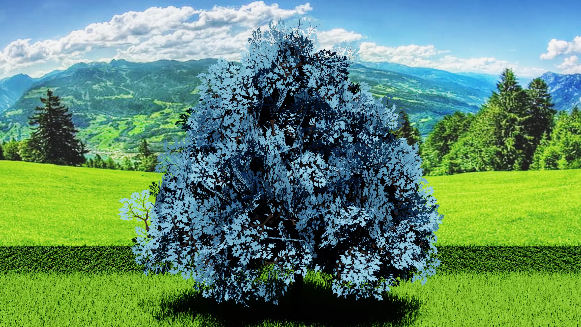 Stylized Tree 4 Free low-poly 3D model_3