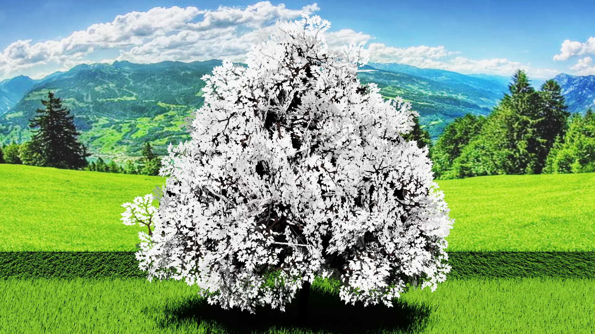 Stylized Tree 4 Free low-poly 3D model_10