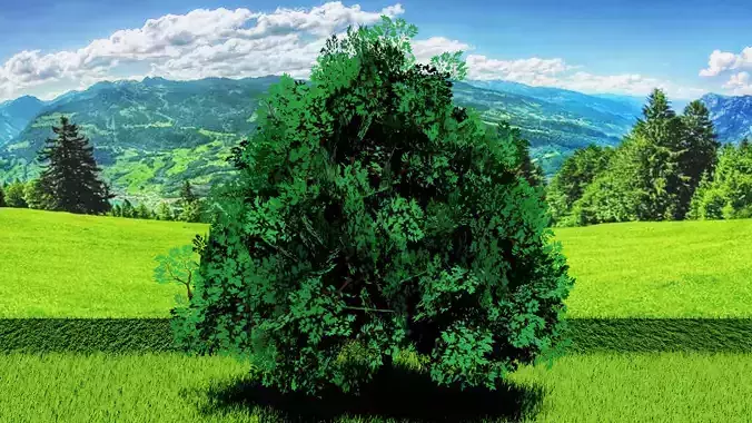 Stylized Tree 4