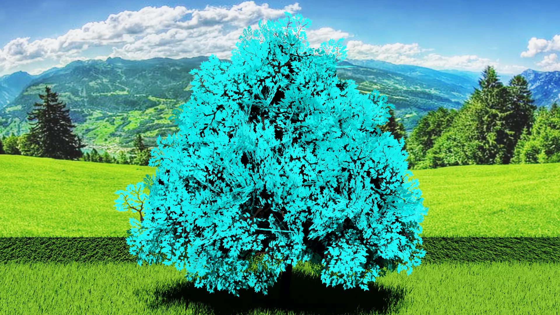 Stylized Tree 4 Free low-poly 3D model_5