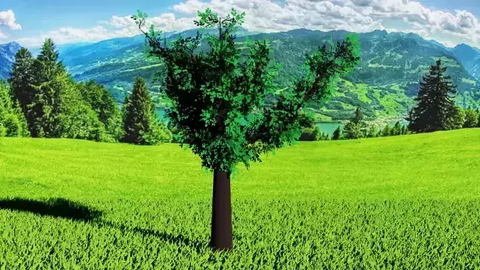 Stylized Tree 5