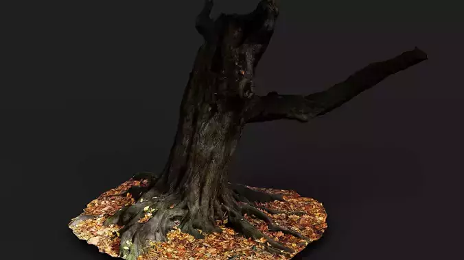 autumn tree broken branches PBR photogrammetry