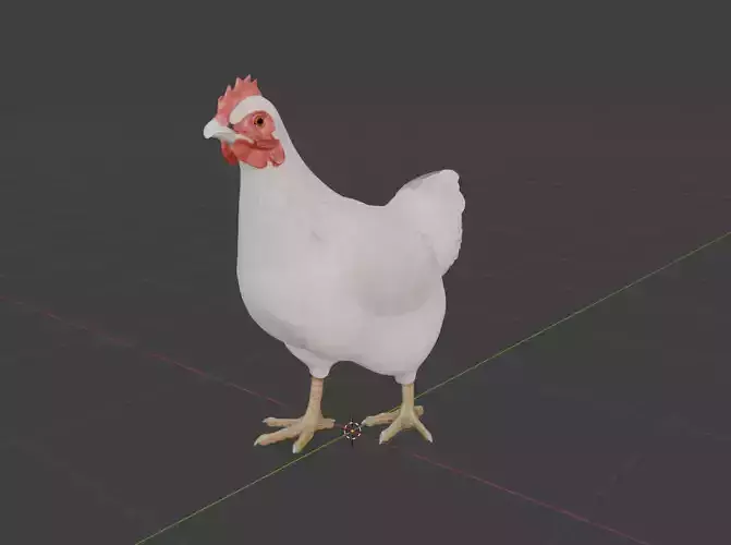 Chicken White
